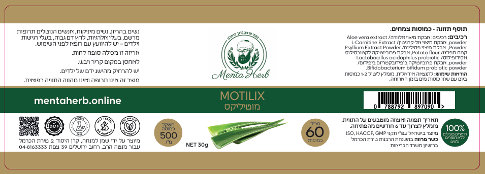 מוטיליקס.png