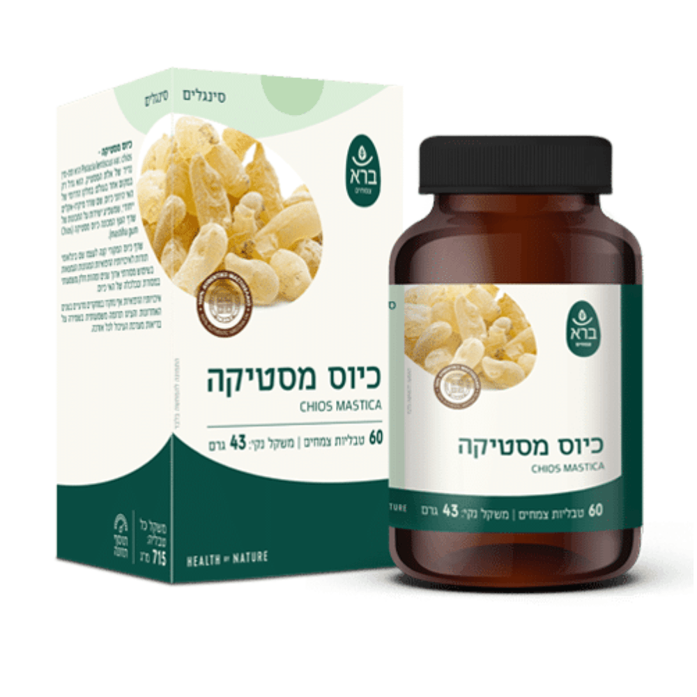 כיוס מסטיקה